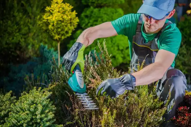landscaping services East Rockaway